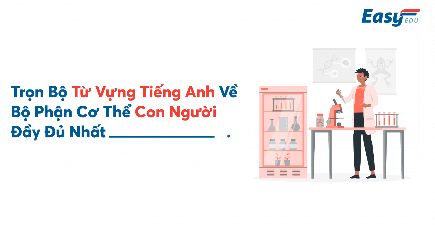 từ vựng cơ thể con người